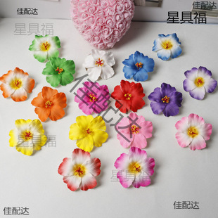 �F؛�¿�s10cm�����ɣ���l�A�^�ɫ����Ӿ�b����ɳ�����հl�