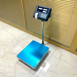 电子秤;地磅;其他衡器