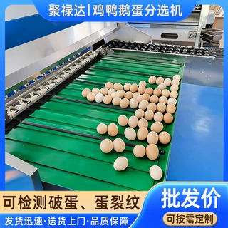 不锈钢多级蛋分选机厂家 鹅蛋大小分选设备绿壳蛋称重分拣机器