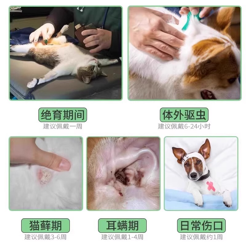 エリザベス猫サークル猫犬猫首輪ペット犬ヘッドギア滅菌抗舐め抗スクラッチ抗咬傷抗脱毛首輪|undefined