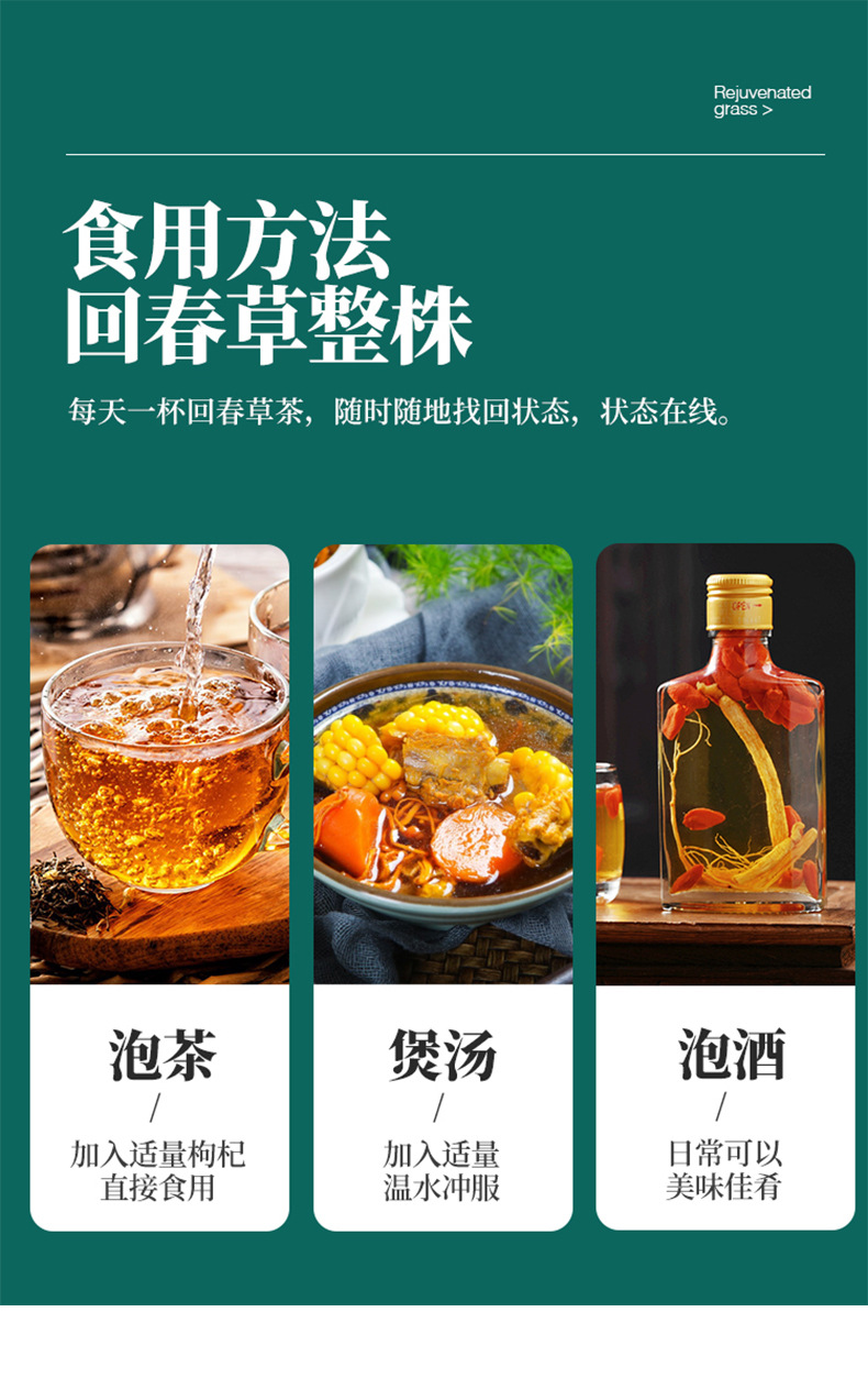Whole Dried Hui Chun Cao Herb 500g for Herbal Wine and Decoction in use