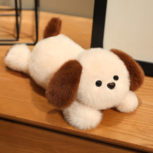 ��������|ſſ�����������Ӽ���ë�q�����ż����