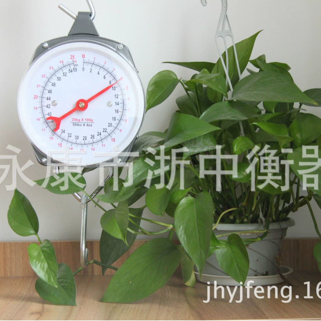 [Производитель] все спецификации пружинные Весы портативные весы [могут быть помечены]
