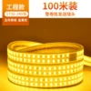 5730-240 Beads Straight Double Row [Golden Light]