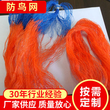 厂家供应 彩色结果园pe防鸟网 聚乙烯拉网绳建筑线彩色捆绑绳