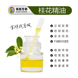 �𻨾��� ��ȡ��ԭ�� ֲ�����Osmanthus Absolute��С����ُ