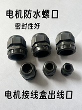 늙C�Ӿ������ϳ������ݿ��^�o�׽��^���|���m�^�����̶���ĸ