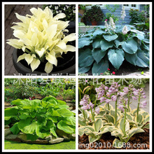 N 񴺰 Q ݻ ѷNӻNӷNӶ