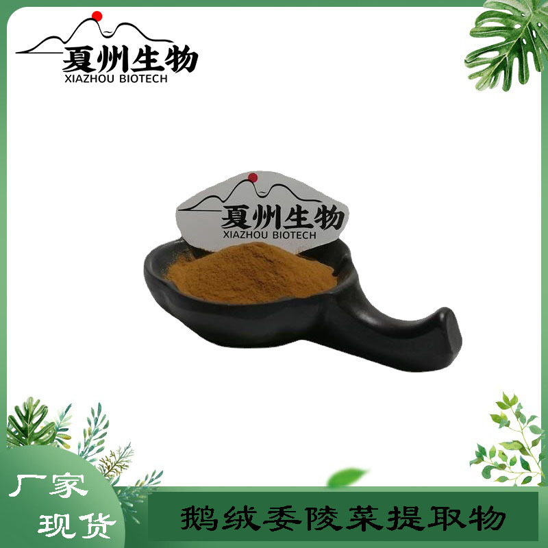 鹅绒委陵菜提取物 10/20/30:1 水溶鹅绒委陵菜提取粉 蕨麻提取物