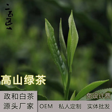 高山雲霧綠茶2023春季政和白茶一級綠茶定禮盒裝二五區制廠家批發