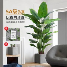 ����Gֲ�����B��ش����҃��bՇ������Ԕ[���������p�ݼ�ֲ��