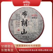 ��ͬ־�ն���2023�겼��ɽ�¼����500g��ɽ�Ř��ն�����ն�����