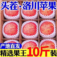 【サクサク甘い】陝西省本場羅川赤富士りんご 新鮮な季節の果物 冰砂糖ハートりんご 卸売箱