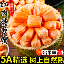 越南红肉菠萝蜜新鲜水果包邮黄肉心波罗蜜当季整箱16斤一整个树熟