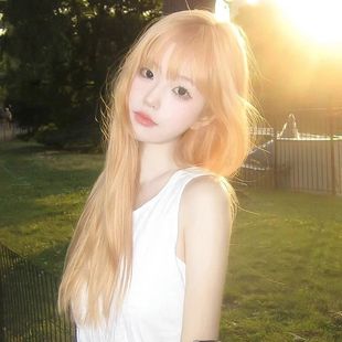 Blonde Wig Women's Long Hair Summer Natural Full Head Cover Imitation Human Dopamine Lisa Same Style Long Straight Hair Wig