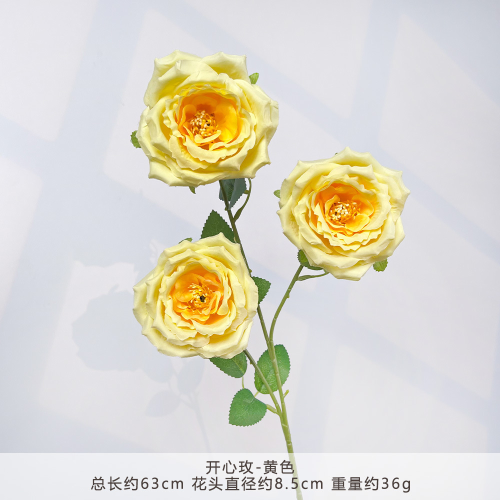 MJ-开心玫-黄色