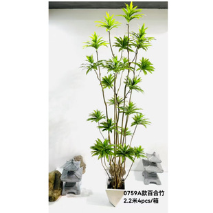 ��������Gֲ�����҃��b[������쾰�ٺ����ֲ�����l