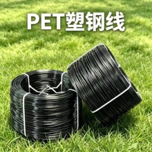 ��䓾���������Ѽ� PET��䓾��r�I���@���ܾ���Ĥ��������