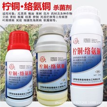 ����21.4%���~&middot;�j���~ �����������ѿ�ή�����������砀��������