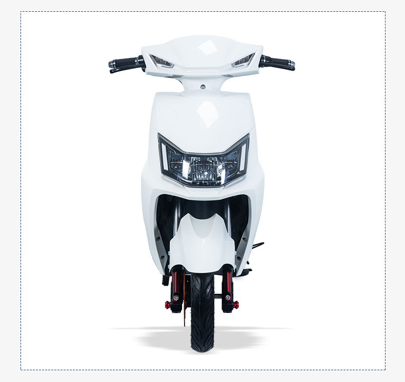Factory Direct Sales H8 Electric Motorcycle High-Speed Long-Range 800W Adult Electric Bicycle Electric Moped