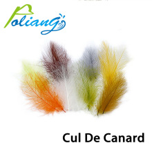 �w�ë�h���Ʋ��� CDC��ƨ��ë Cul de Canard ���I�w���ë����