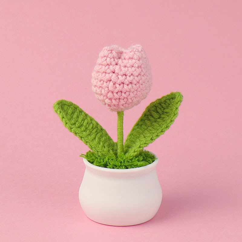 Producto acabado - una sola cabeza de polvo coreano Tulip pequeña maceta
