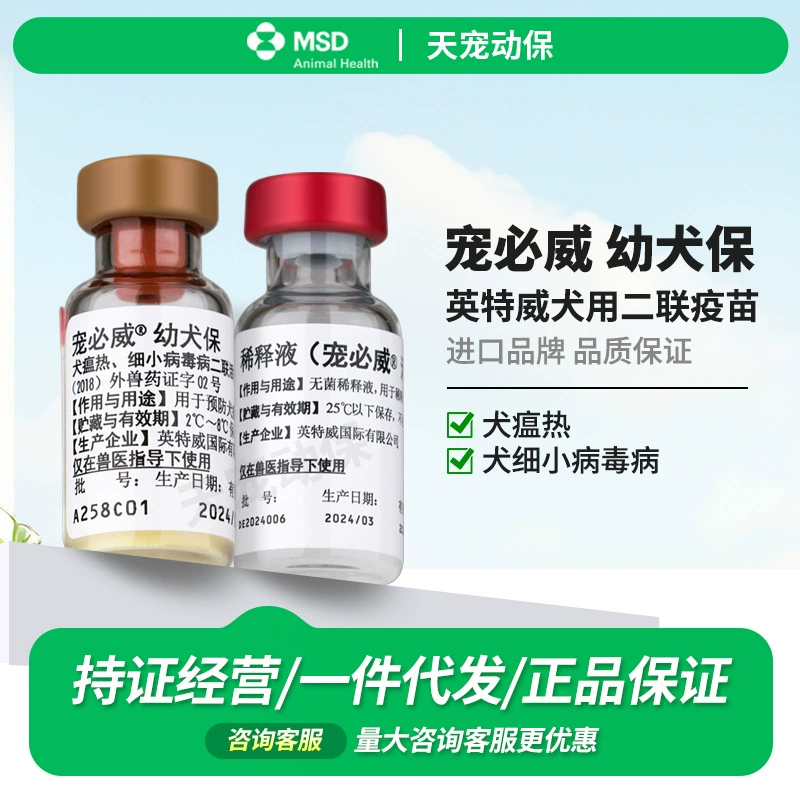 Голландский Intway Живая Вакцина Pet Щенок Бао 2 Pet Щенок Mercadon