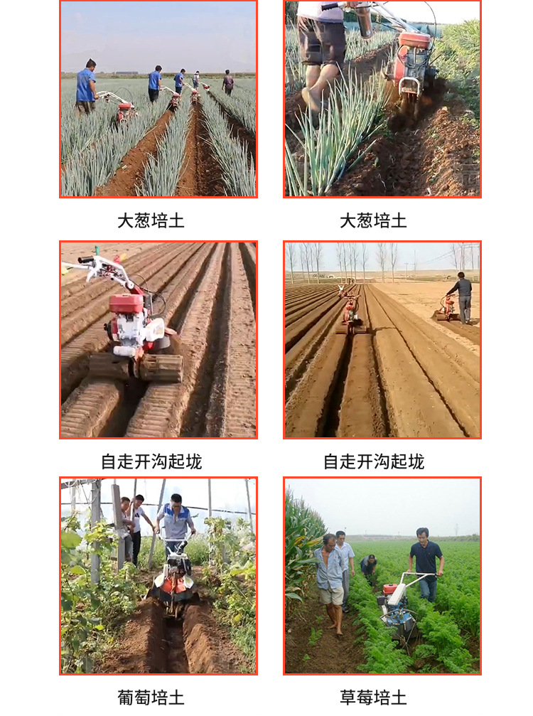 O1CN01p8De0W22N3SI0qewa_!!1684