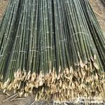 竹子细竹竿棚架碳化室内菜菜豆角菜地防护栅栏景观竹栅栏菜园