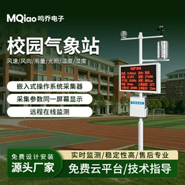 其他仪器仪表;自动气象站;风速风向仪