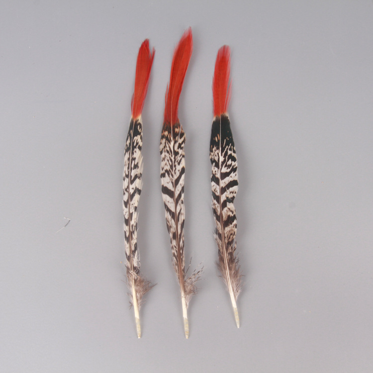 Fábrica al por mayor de bricolaje plumas pequeñas plumas naturales plumas de pollo salvaje plumas de pato jardín de infantes joyas hechas a mano gato divertido material de captura de sueños