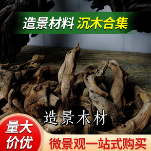 ���ճ���쾰����ľ��ľ�^���N���rľ�Ř���������ܛľ΢���^