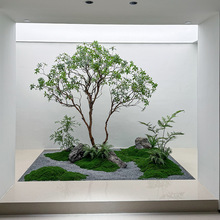 ��Ʒ�R��ľ����Gֲ�쾰�Ř��b���ͼ٘了�s���^����ֲ���҃�