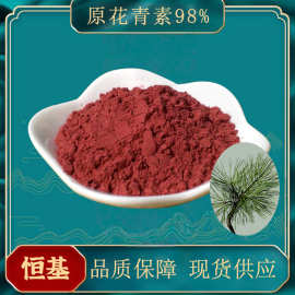 海岸松树皮提取物98% 碧萝芷现货OPC低聚原花青素 松树皮提取物