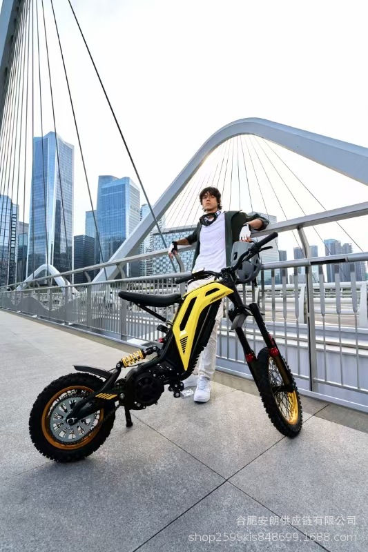 79Bike Titaone-S New Electric Off-Road Motorcycle Black Bee Rattlesnake 48V25Ah Track Vehicle