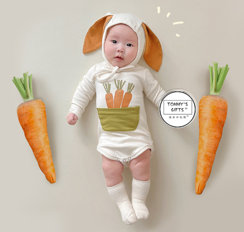 Ins style Korean style harem 2024 spring new cute carrot print rabbit shape baby onesie