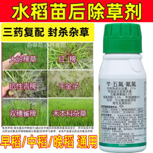 21%ˮó݄԰޲ݺrˮ݄