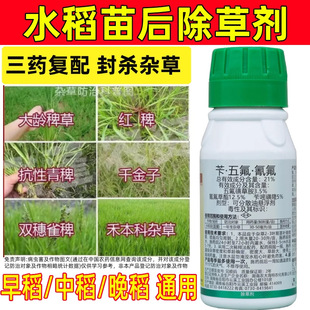 21%��������ˮ����ó��݄����԰޲ݺ����r��ˮ�������݄�