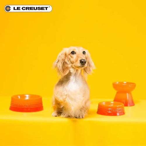 Cool Color LE CREUSET French Pet High-Feeder Protects Cervical Cat Food Bowl Cat Supplies Dog Food Bowl