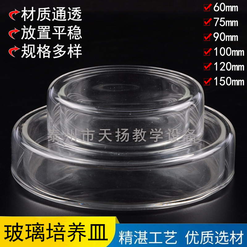 耐高温玻璃培养皿60 75 90 100 mm实验室高硼硅玻璃平底培养皿