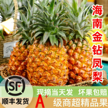 ���ڳ����Ͻ������5��Ӧ��������ˮ����ˮ������˺���������