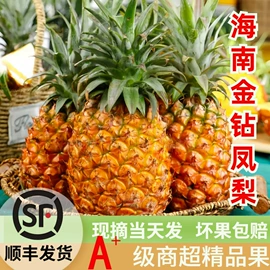 块茎类;芒果;其他水果