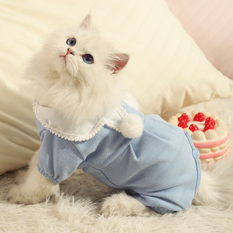 Ropa de gato anti-pelusa azul gato mascota marioneta corta belleza británica corto Otoño e Invierno Delgado cálido lindo ropa de cuatro patas
