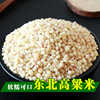 東北特産自種白高粱米新米優質食用農家粗糧糙米去殼五谷雜糧