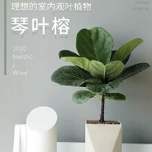 ���~�������҃ȴ��~ֲ��͏d�k���ҾGֲ���B��W�����ļ�����ȩ