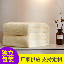 跨境加厚菠萝格贝贝绒毛毯法兰绒毯宠物盖毯空调毯礼品珊瑚绒毯子