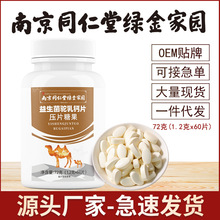 南京同仁堂绿金家园益生菌驼乳钙片72g现货批发代发源头直发