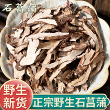 正品野生石菖蒲新货中药材500g正宗山菖蒲茶非水菖蒲可磨石菖蒲粉