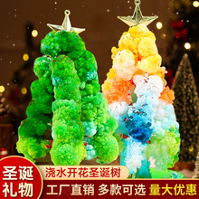 纸树开花圣诞节礼物神奇浇水生长创意魔法结晶树儿童时玩具圣诞树