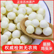 �����r������2021���r�͌��u�^���K�ݴČ�Ƿ�������pʳ��؛��؛